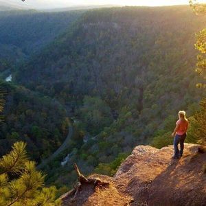 Meet your Posher, Sadie